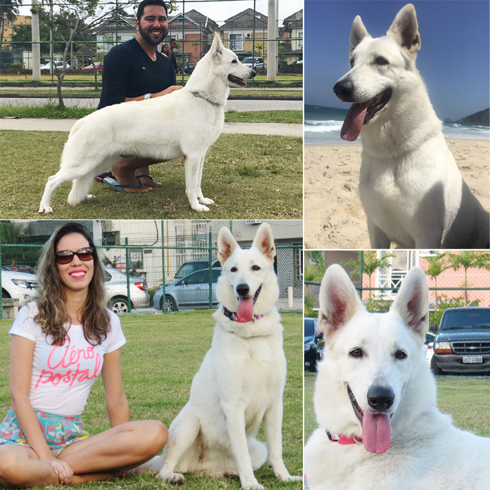 FishKa atualmente - 2017/2018.